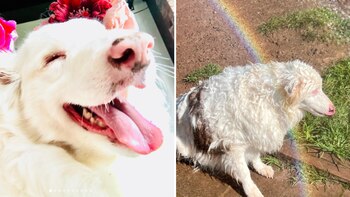 Por más de 13 años