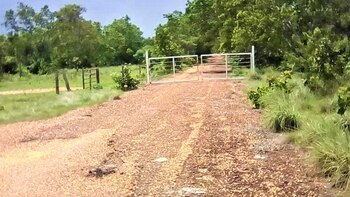 Es alarmante cómo van quedando