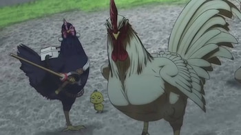 Rooster Fighter