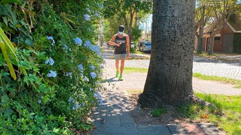 El conductor cumplió su sueño