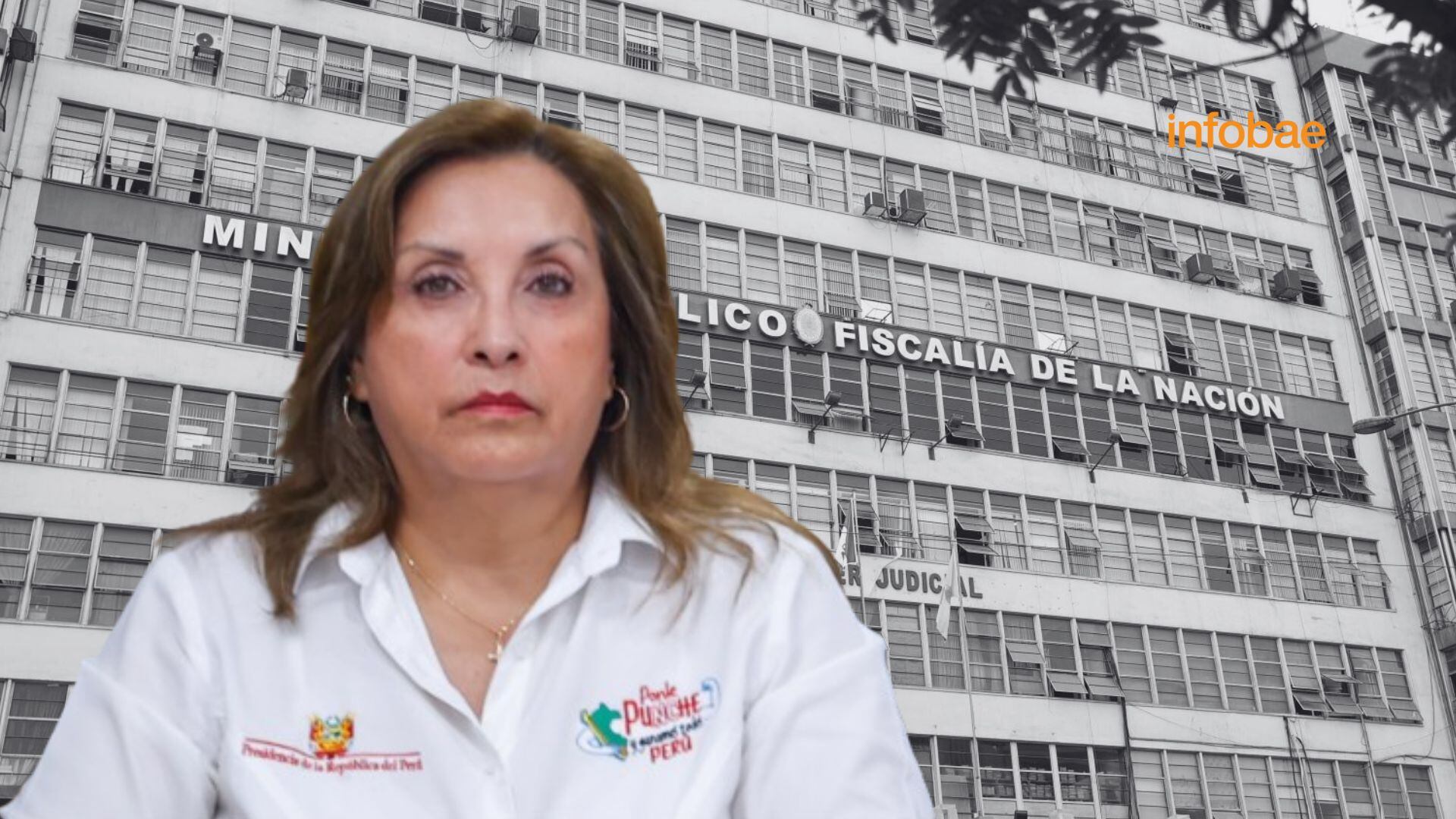 Dina Boluarte: congresista pide a la Fiscalía solicitar impedimento de  salida contra la presidenta ante eventual vacancia - Infobae