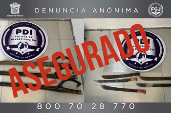 Las autoridades aseguraron una motosierra,