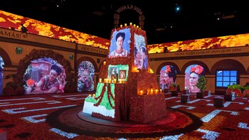 La exposición recrea algunos de