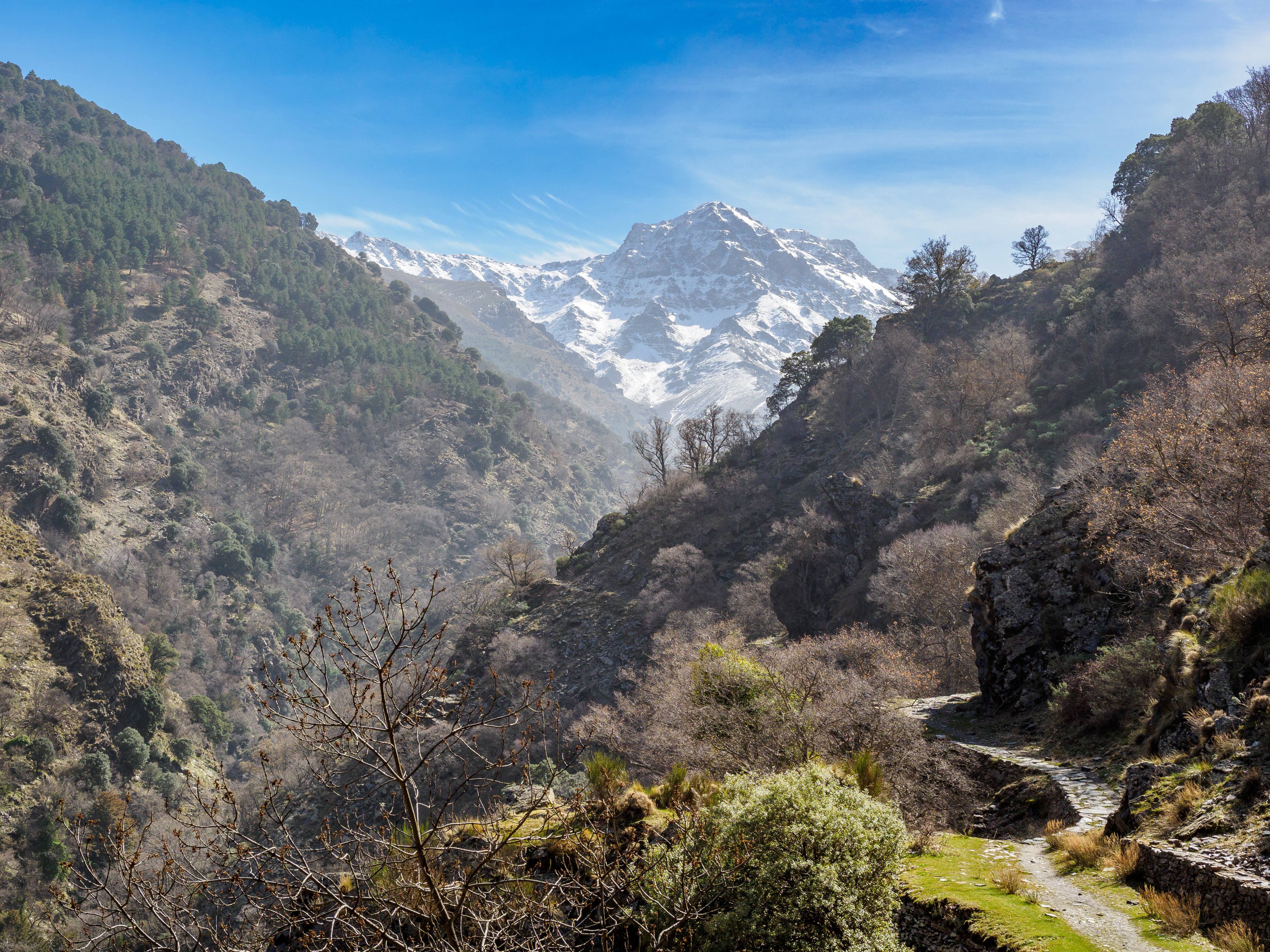 Ruta de la Vereda de la Estrella, en Sierra Nevada, Granada (Adobe Stock).