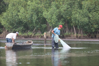 AHUACHAPÁN (EL SALVADOR), 29/07/2026.- Fotografía del 22 de julio de 2026 que muestra pescadores en los alrededores del manglar de la Barra de Santiago en Ahuachapán (El Salvador). El trabajo para restaurar una zona manglar de El Salvador es liderada por un grupo de mujeres de la comunidad costera Barra de Santiago (occidente), quienes reconocen la importancia de proteger este ecosistema, hogar de diversas especies de animales y plantas y fuente económica para las familias del lugar. EFE/ Javier Aparicio