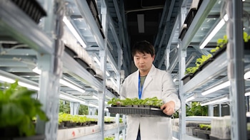 EEUU imputa a un investigador