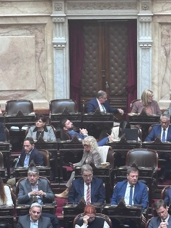Manuel Adorni en Congreso