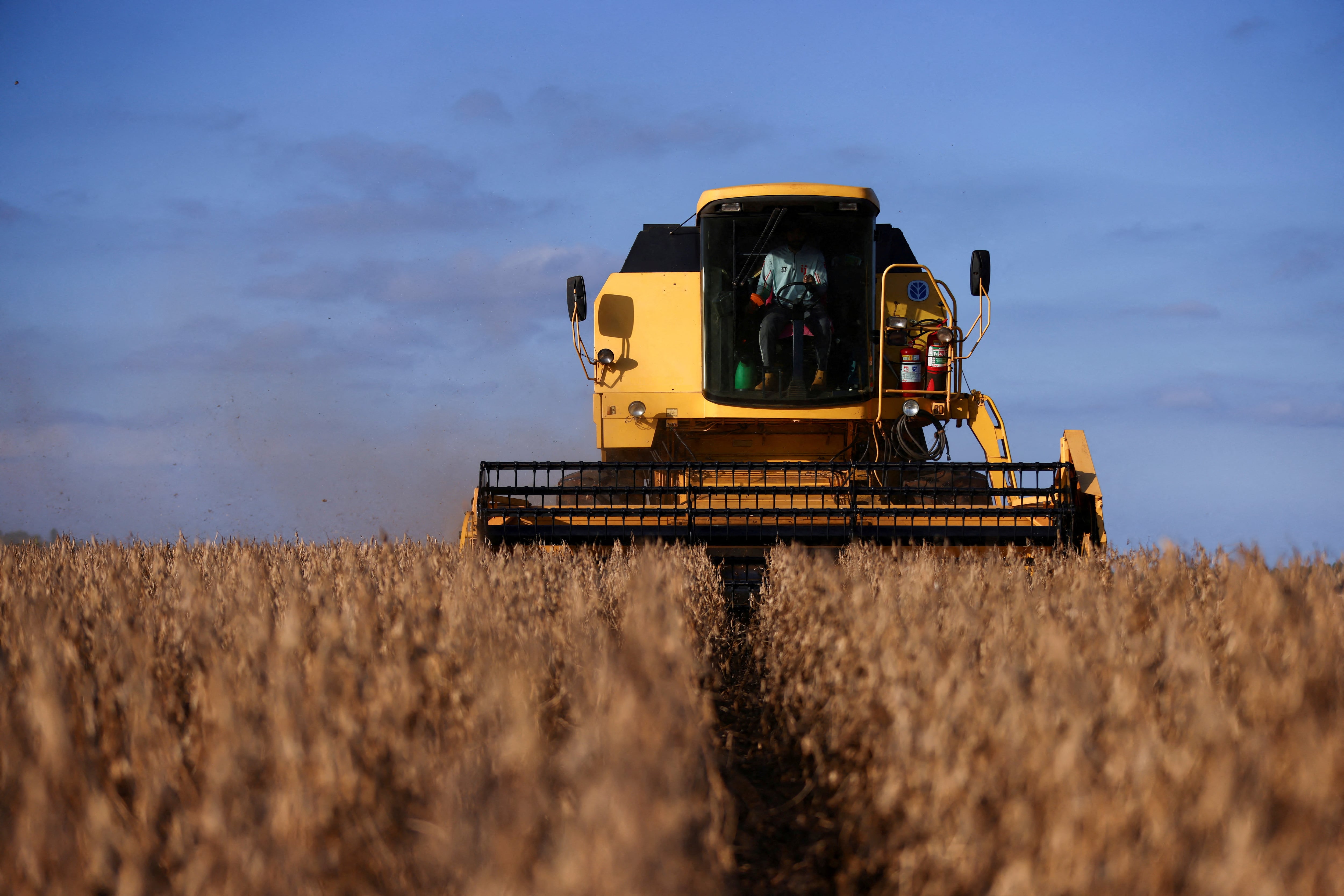 El crecimiento del Índice de Actividad de la Cadena Agropecuaria da cuenta del fuerte impacto que la cosecha récord continúa teniendo sobre el movimiento del sector (REUTERS/Diego Vara/Archivo)