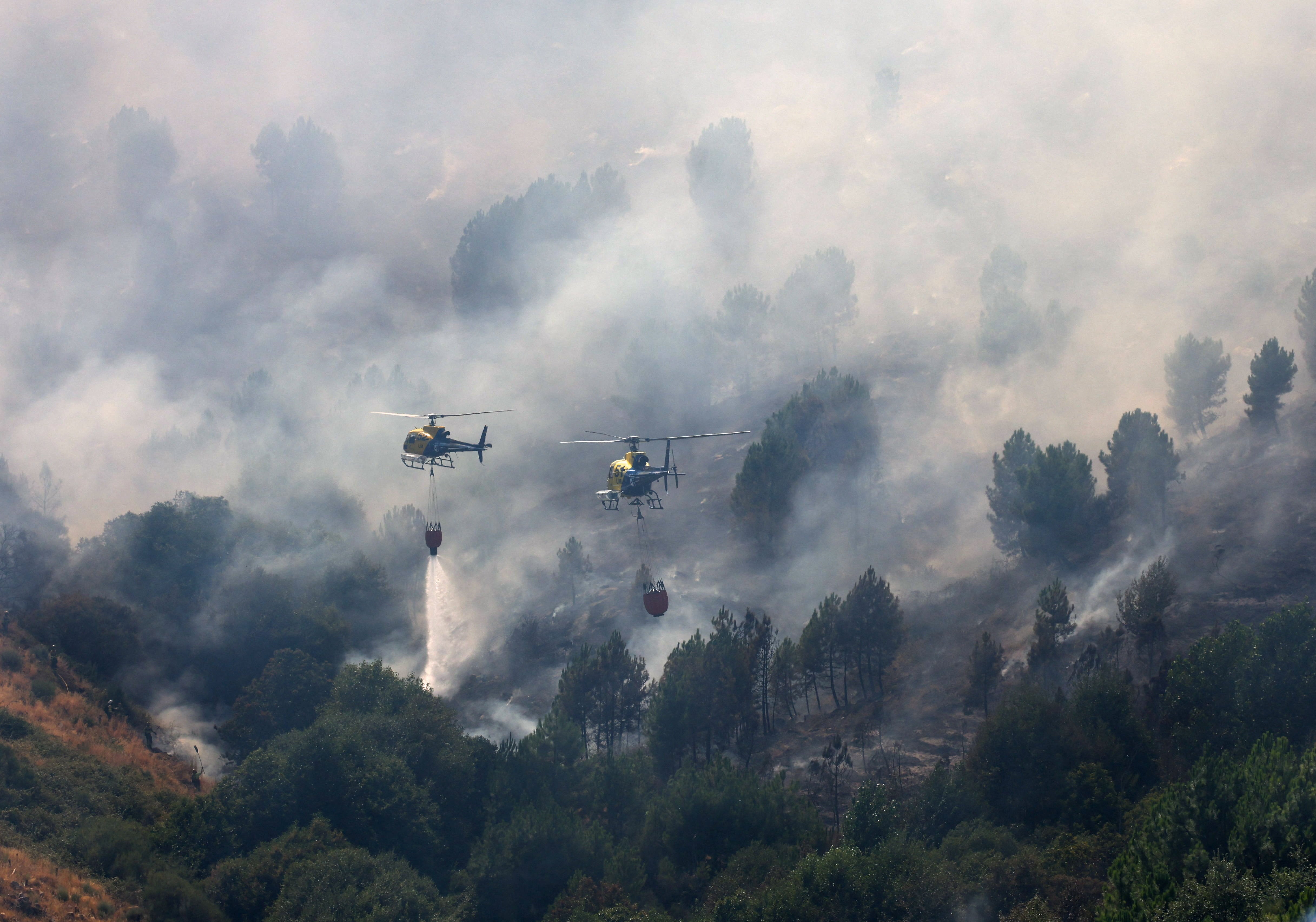 Estados Unidos dispone de aeronaves especializadas para combatir incendios forestales, entre ellas aviones cisterna y aeronaves anfibias para el transporte y descarga de agua o retardante. - crédito REUTERS/Juan Medina