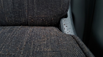 Primer plano de un asiento de autobús de tela oscura con el marco de plástico lateral. Pequeños puntos oscuros y residuos se observan en la tapicería y el plástico.