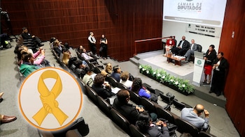 “Cámara de Diputados: Urgen políticas para frenar el suicidio y elevar la salud mental en México