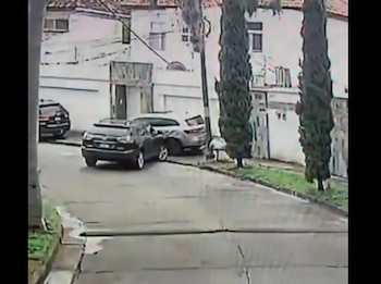 Videos de cámaras de seguridad captaron el momento en que el vehículo avanzaba y retrocedía de manera errática. (FOTO: La Tribuna)