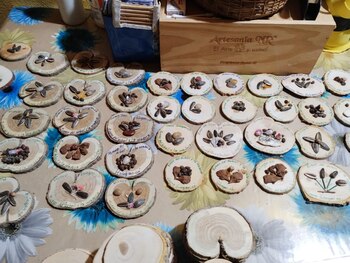 Huinganco Museo del Árbol y la Madera