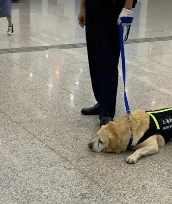 (Foto: Facebook/杂七杂八)