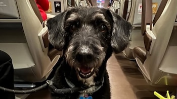 La Guardia Civil localiza a