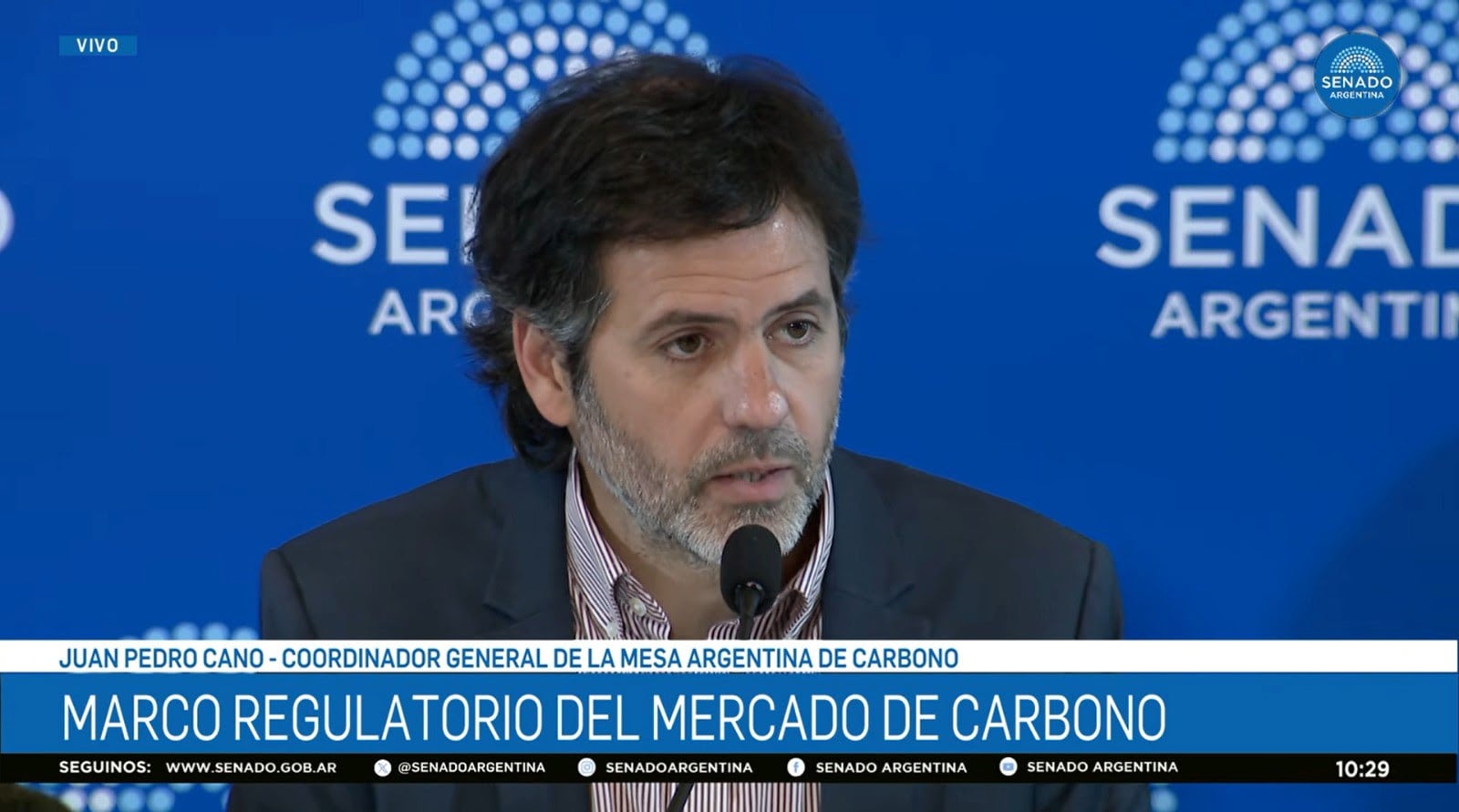 Juan Pedro Cano, coordinador de la Mesa Argentina de Carbono, expuso ante el Senado durante el debate de los proyectos que buscan establecer un marco normativo para el sector