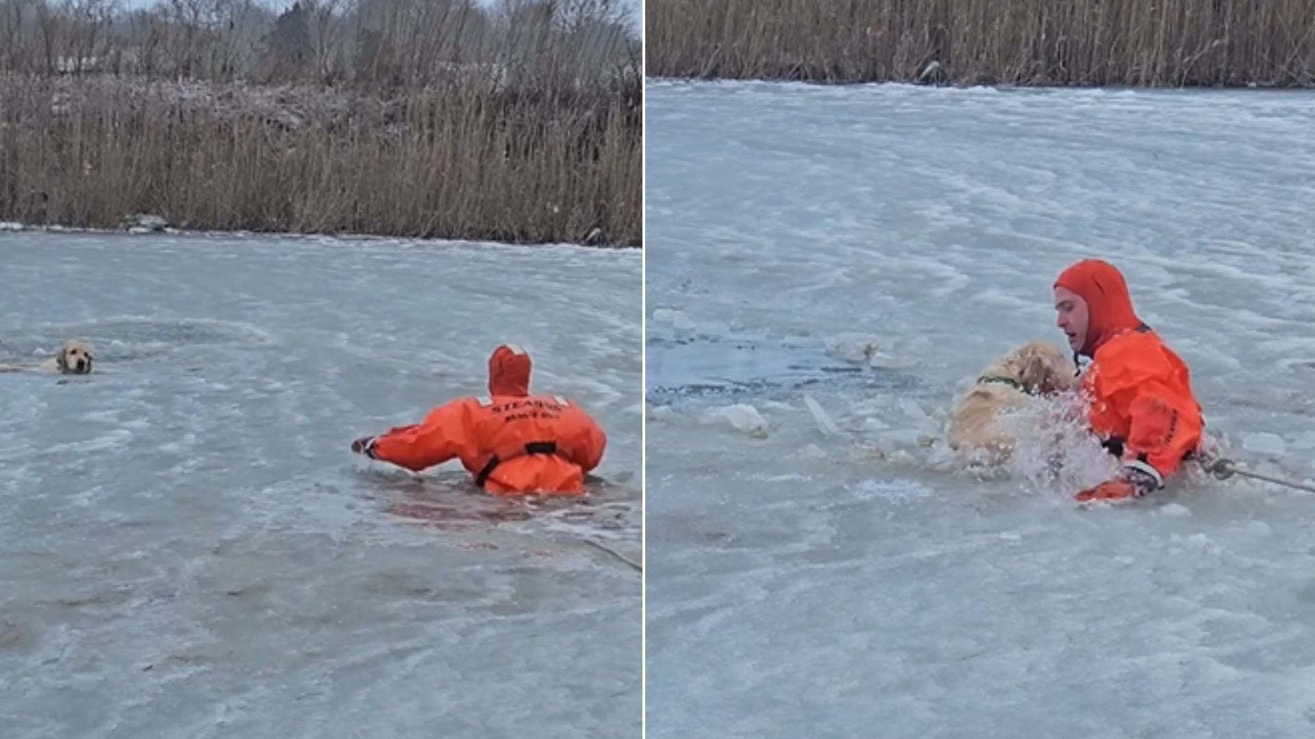 El rescate de un perro atrapado en un lago helado movilizó a bomberos en Rhode Island