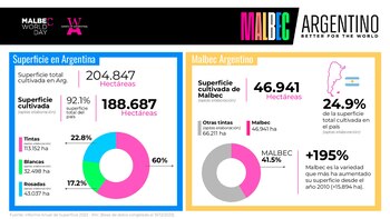 El Malbec es el vino