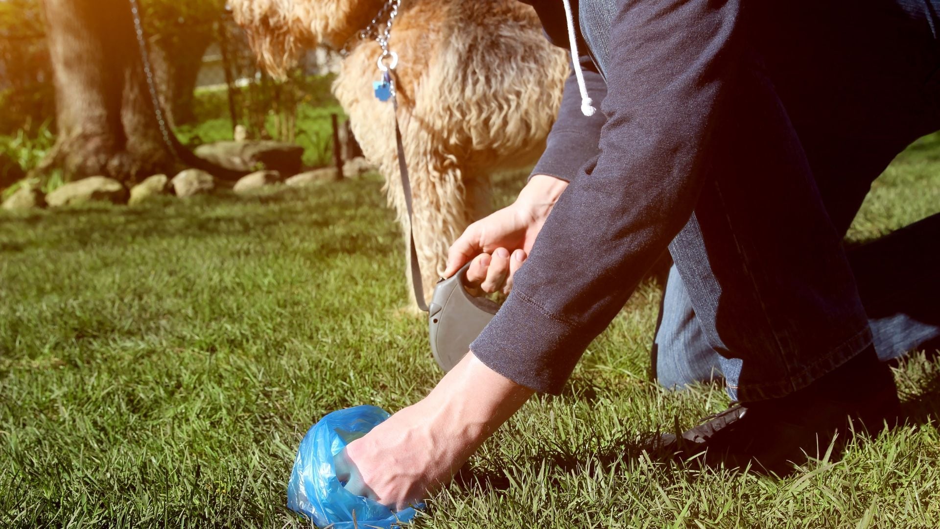 Una banda organizada realizó un hurto en comercio de la Av. ciudad de Cali con calle 44 en Bogotá bajo la modalidad de distracción - crédito Canva