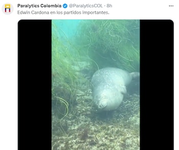 Edwin Cardona durmiendo - crédito