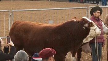 La Rural 2024: el nuevo