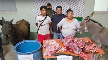 PNP desarticuló banda que comercializaba
