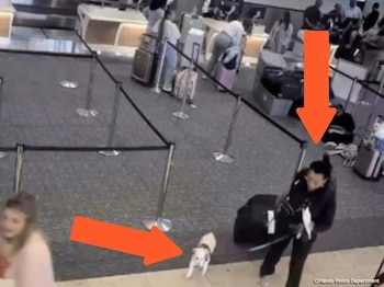 La muerte del perro ocurrió en diciembre de 2024, luego de que la aerolínea impidiera a Lawrence viajar junto a su mascota por incumplimiento de requisitos (CORTESÍA DEPARTAMENTO DE POLICÍA ORLANDO)