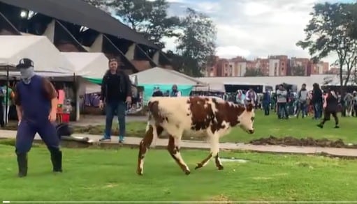 En octubre de 2025 también se vivió la llegada de más de 1.700 indígenas al campus universitario - crédito captura de pantalla / X