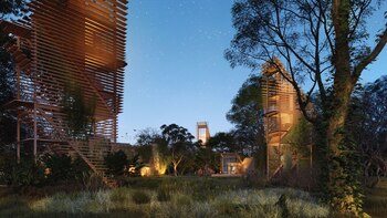 Hernán Cataldi ha mostrado su