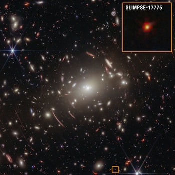 Estrellas de agujeros negros: Webb encuentra la evidencia más sólida hasta la fecha Créditos: NASA, ESA, CSA, Vasily Kokorev (UT Austin); Procesamiento de imágenes: Alyssa Pagan (STScI).