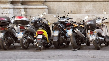 Al Operador(a) de Vehículos Motorizados