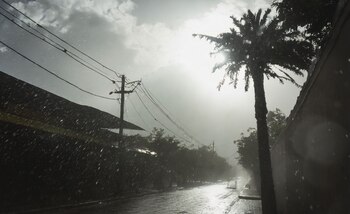 El pronóstico del clima en