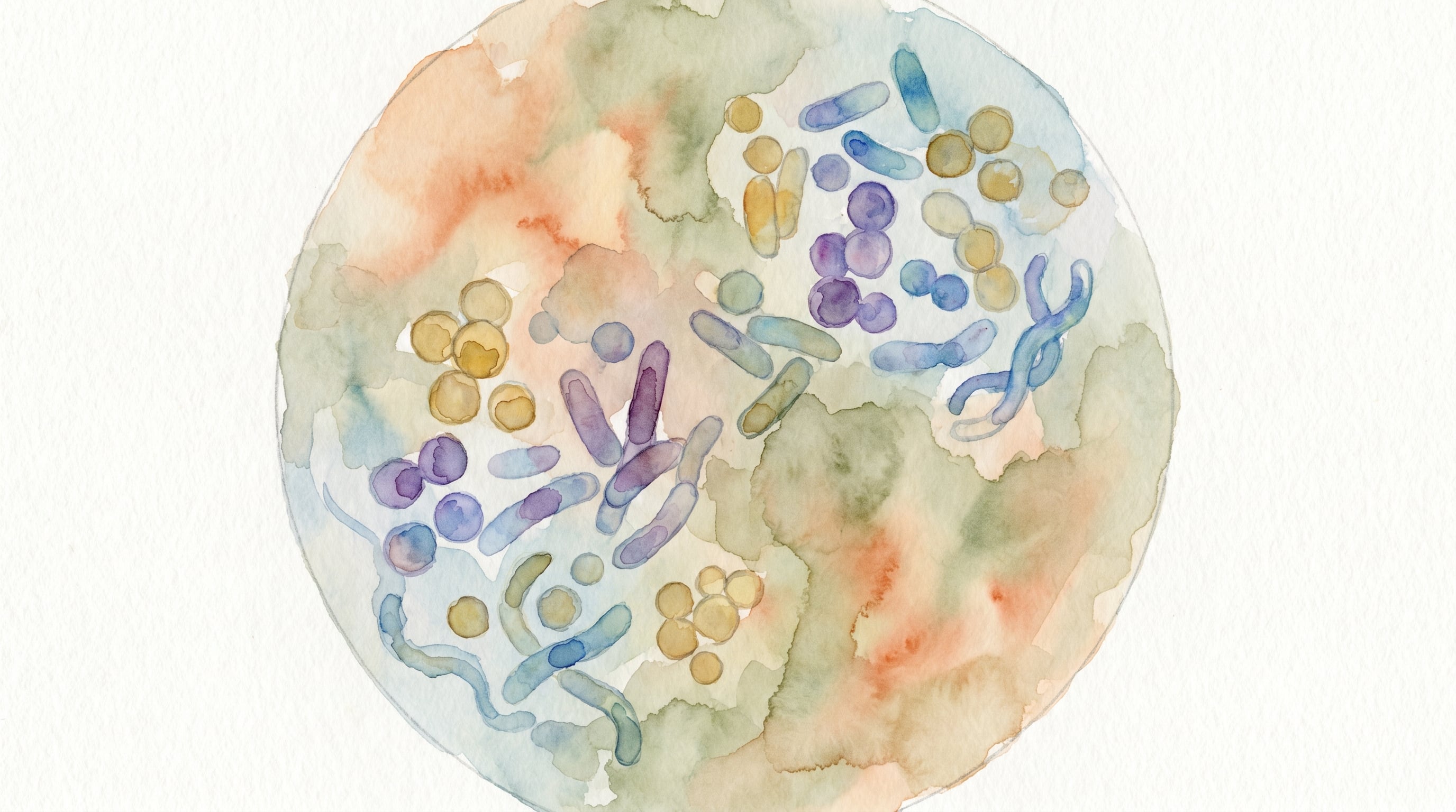 Una ilustración en acuarela muestra una vibrante diversidad de bacterias con formas redondeadas, alargadas y onduladas, en un fondo de tonos suaves que evoca un ecosistema biológico. (Imagen Ilustrativa Infobae)