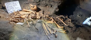 Los trabajos alrededor del Tren