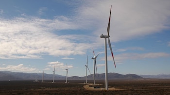 Elecnor votará en junta un dividendo complementario de 0,41 euros y el nombramiento de dos nuevas consejeras