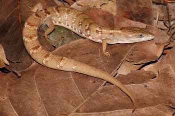 La combinación de trabajo de