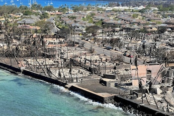 La población expuesta a los incendios forestales de Maui registró una incidencia elevada de hipertensión arterial y problemas respiratorios. (Hawai'i Department of Land and Natural Resources/Handout via REUTERS/ARCHIVO)