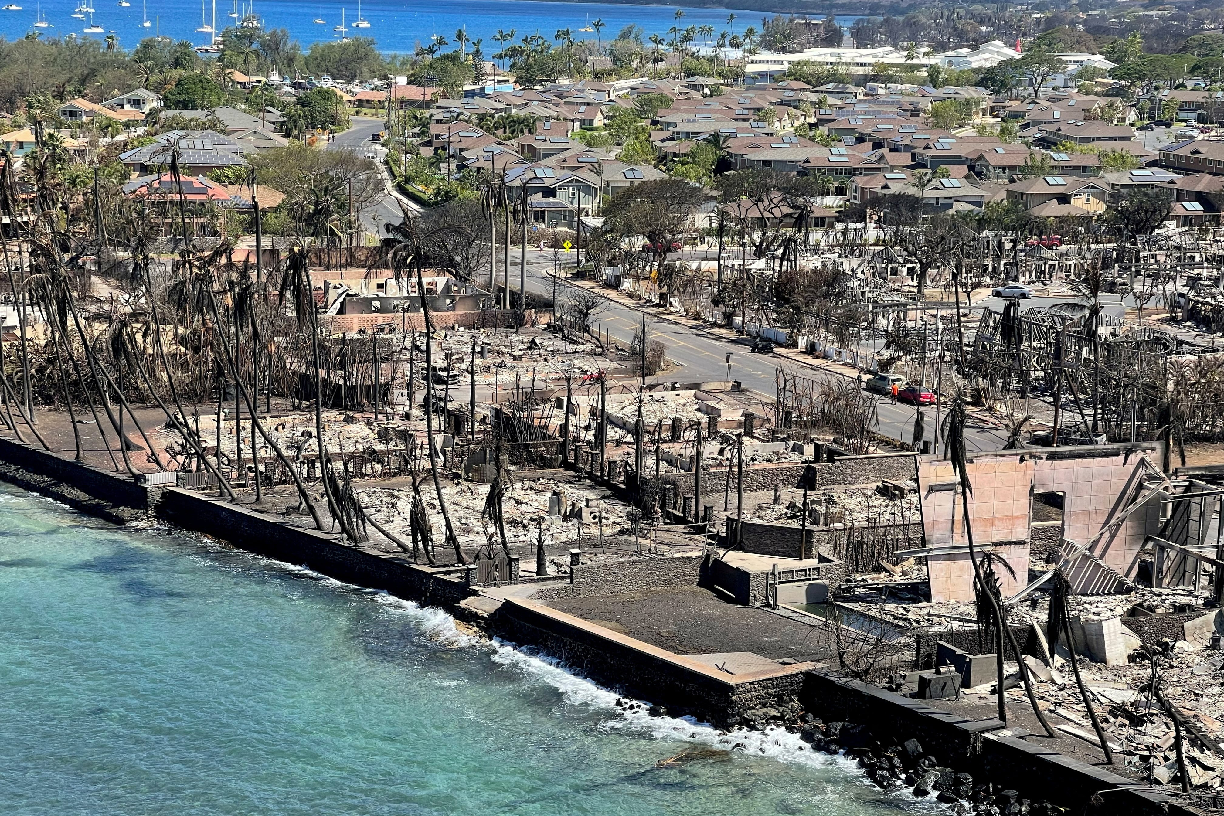 La población expuesta a los incendios forestales de Maui registró una incidencia elevada de hipertensión arterial y problemas respiratorios. (Hawai