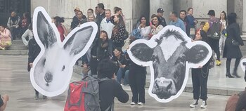 Los carteles de los animales