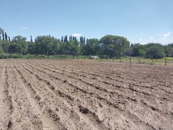 En una región donde cada