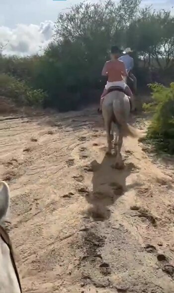 Debido al intenso calor del