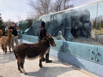 Un inusual encuentro en Toronto