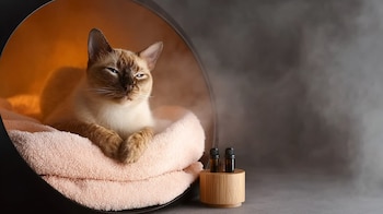 El control de la humedad