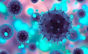 Las vacunas combinadas tienen el