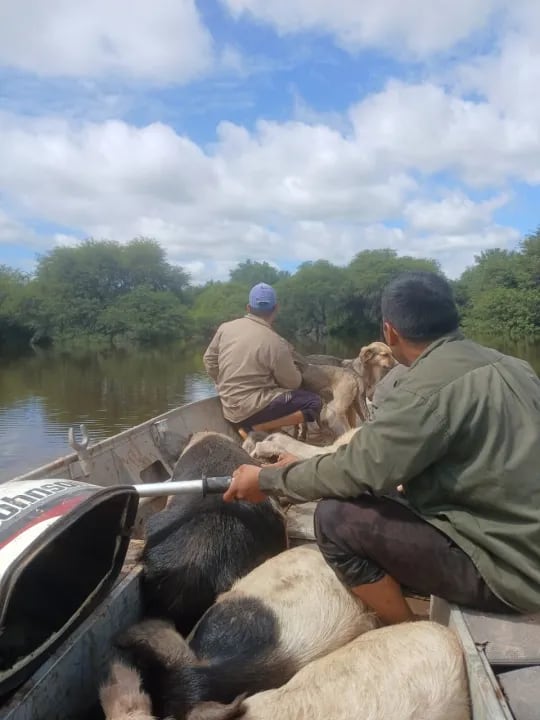 Las autoridades refuerzan el operativo ante la emergencia hídrica en Comandancia Frías y alrededores (Fuente: Norte)