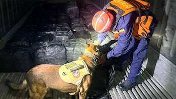 La Armada de Colombia incautó más de una tonelada de cocaína dentro de un buque fondeado en el Golfo de Urabá