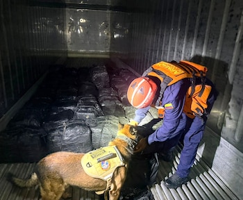 Los uniformados revisaron varios recipientes de carga hasta ubicar el material con características asociadas al transporte de estupefacientes, con apoyo de binomios caninos de la Armada y de la Policía - crédito Armada de Colombia