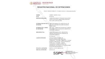 Ficha de detención de Homero