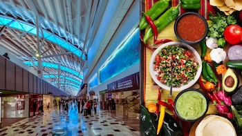 Planean promover gastronomía mexicana en aeropuertos para fortalecer el turismo