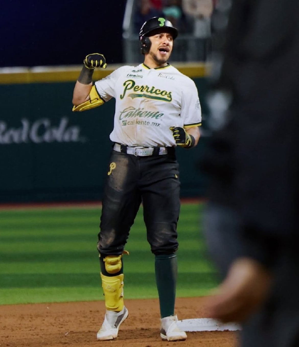 Los Pericos de Puebla apagan el sueño del tricampeonato con Diablos. (Pericos de Puebla)